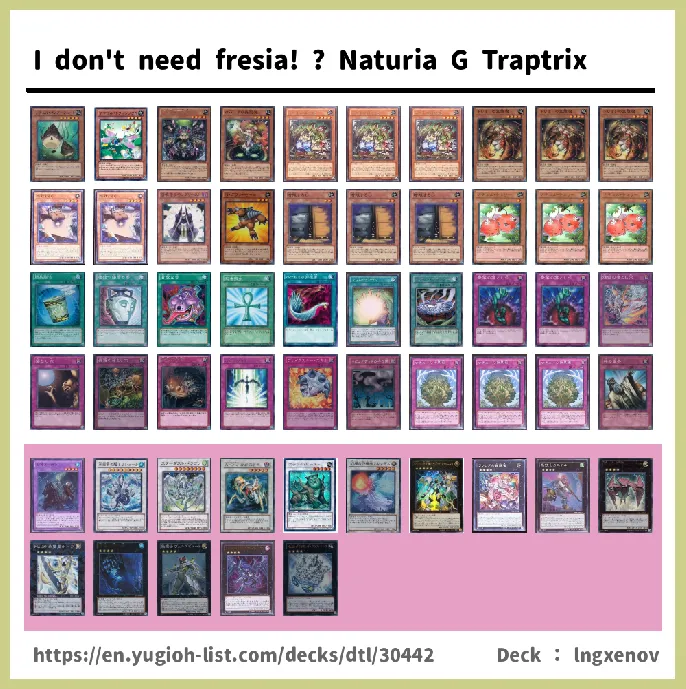 Traptrix, Trap Hole Deck List Image