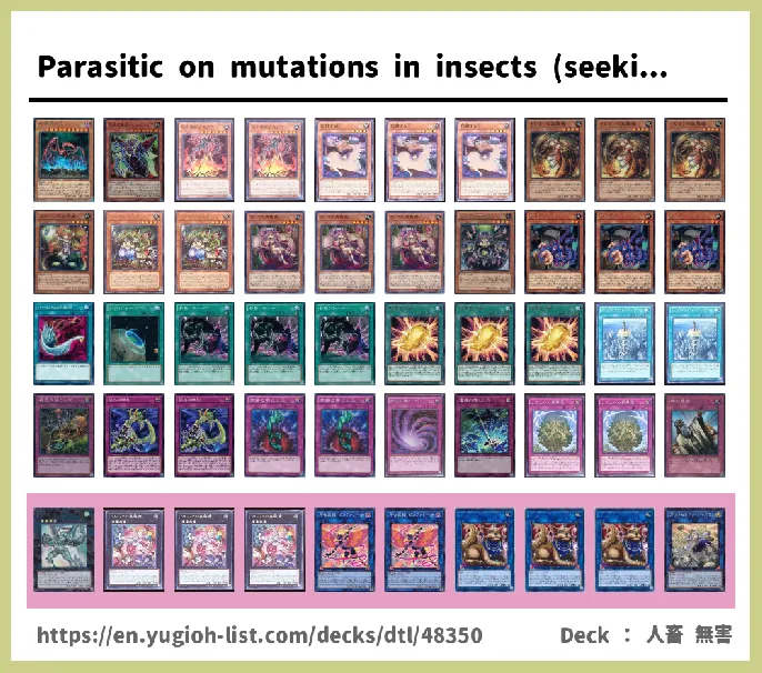 Traptrix, Trap Hole Deck List Image