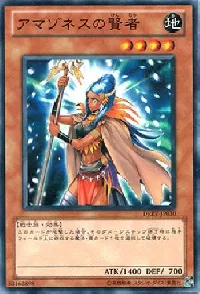 Amazoness Sage