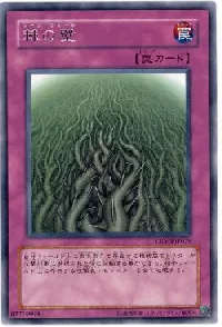 Wall of Thorns