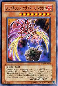 フェニキシアン・クラスター・アマリリス
