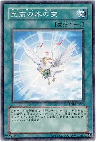 至高の木の実