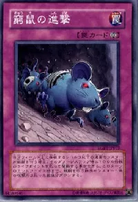 Attack of the Cornered Rat