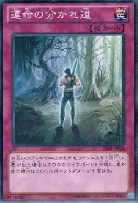 The Paths of Destiny