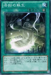 Miraculous Rebirth