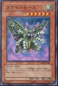 Scary Moth
