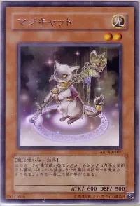 Magicat
