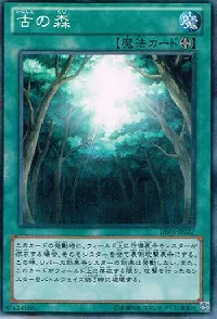 Ancient Forest