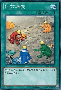 Fossil Dig