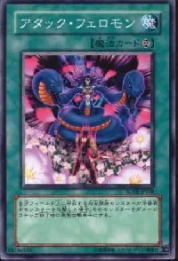 Attack Pheromones