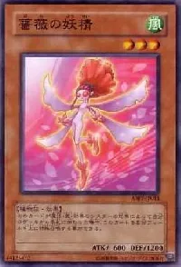 Rose Fairy