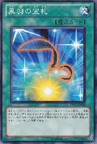 Cards for Black Feathers