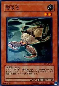 Silent Insect