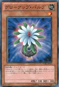 Glow-Up Bulb