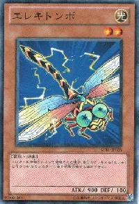 Wattdragonfly