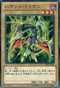 Hunter Dragon