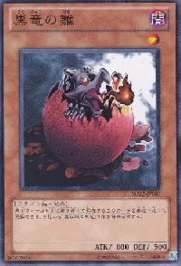 Black Dragon's Chick