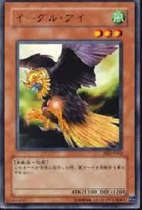 Eagle Eye