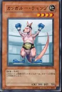 Kangaroo Champ