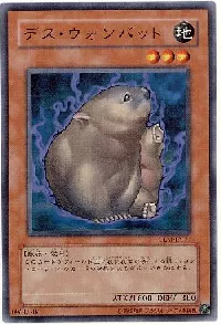 Des Wombat