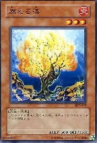 燃える藻