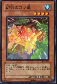 Gora Turtle of Illusion