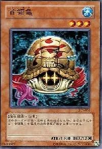Don Turtle