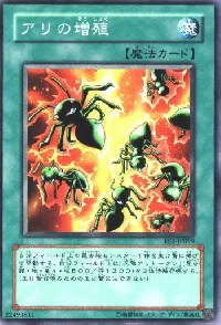 アリの増殖
