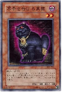 A Cat of Ill Omen