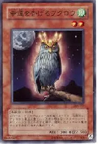 An Owl of Luck