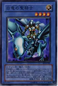 Paladin of White Dragon