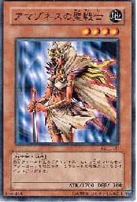 Amazoness Paladin