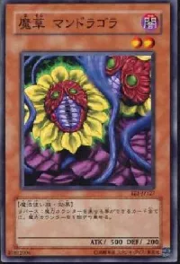 Magical Plant Mandragola