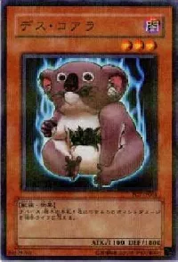 Des Koala