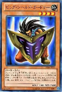 Big Shield Gardna