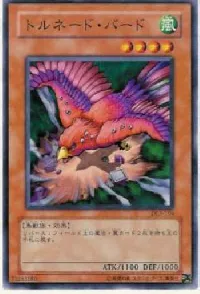 Tornado Bird