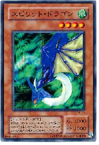 Spirit Ryu