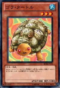 Gora Turtle
