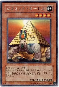 Pyramid Turtle