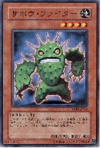 Cactus Fighter