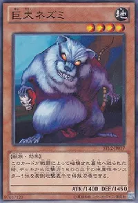 Giant Rat