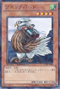 Sonic Bird