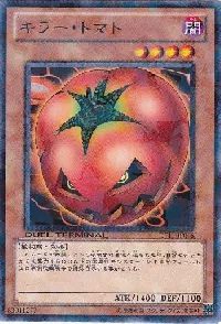 Mystic Tomato