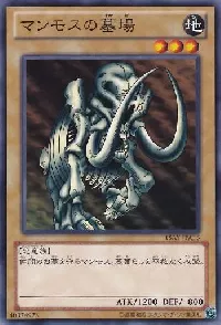 Mammoth Graveyard