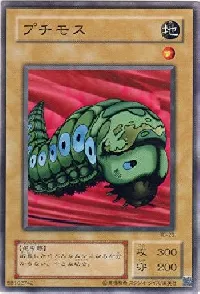 Petit Moth