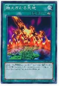 Burning Land