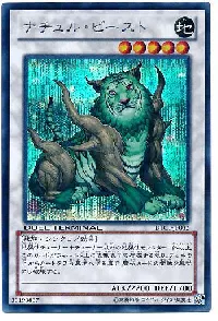 Naturia Beast