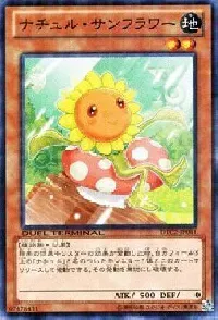 Naturia Sunflower