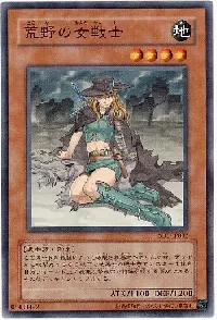 Warrior Lady of the Wasteland