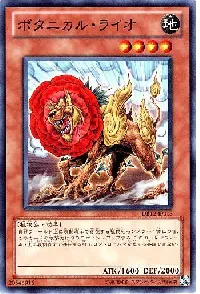 Botanical Lion